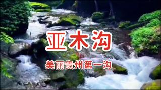 57岁李若彤农村赶集，梳麻花辫状态好